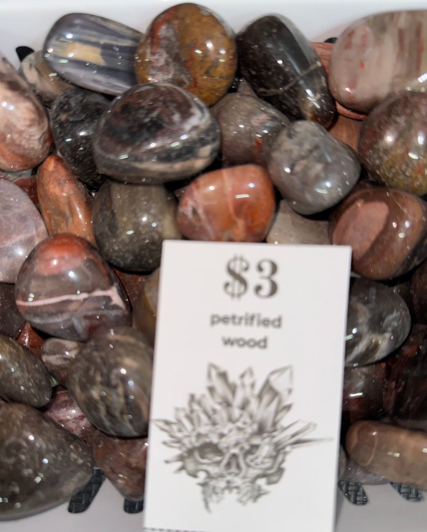 High Quality Gorgeous Petrified Wood Tumble $3 for 1 pc. Intuitive Pick.