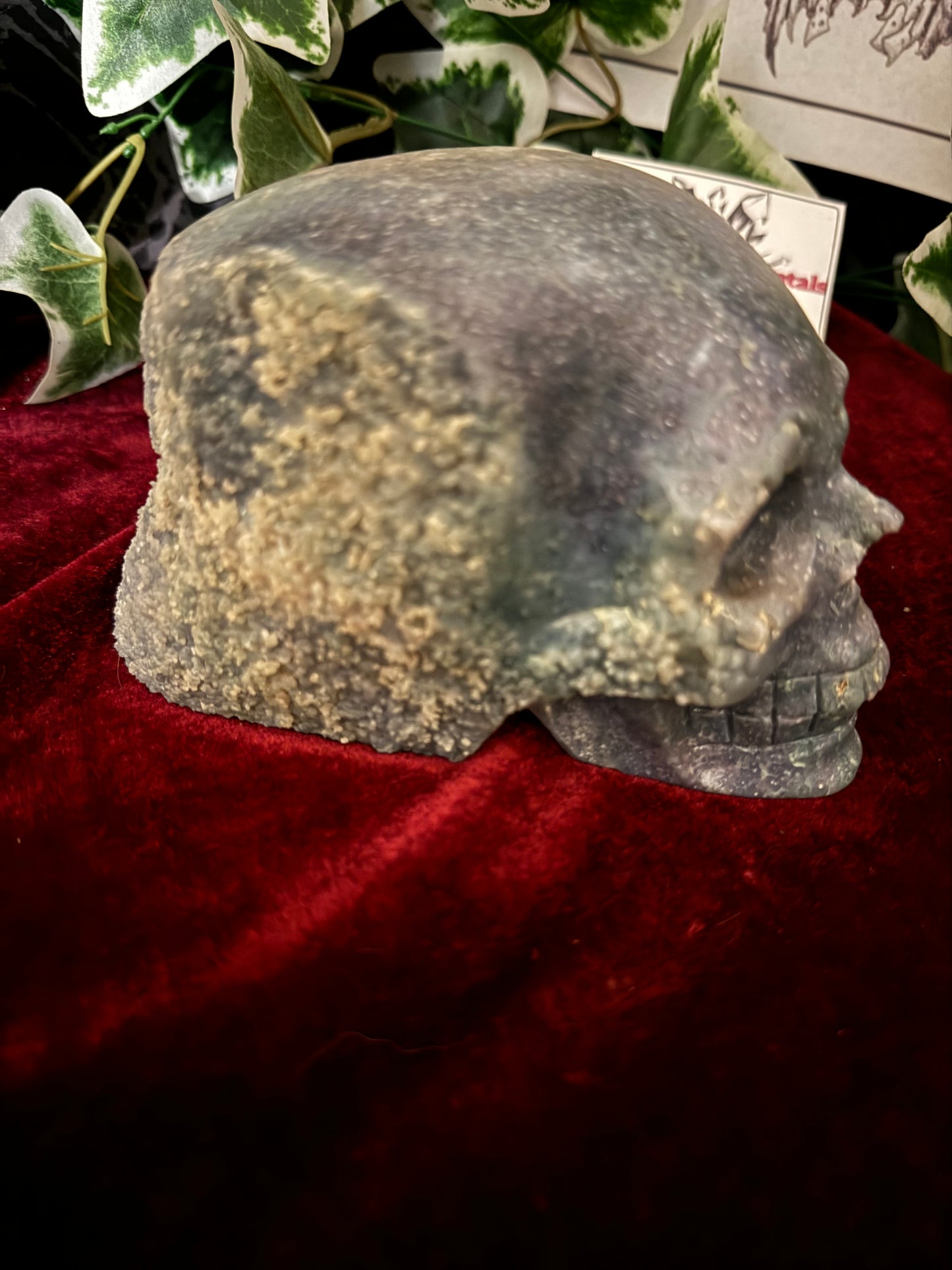 XL Indonesian Grape Agate Skull