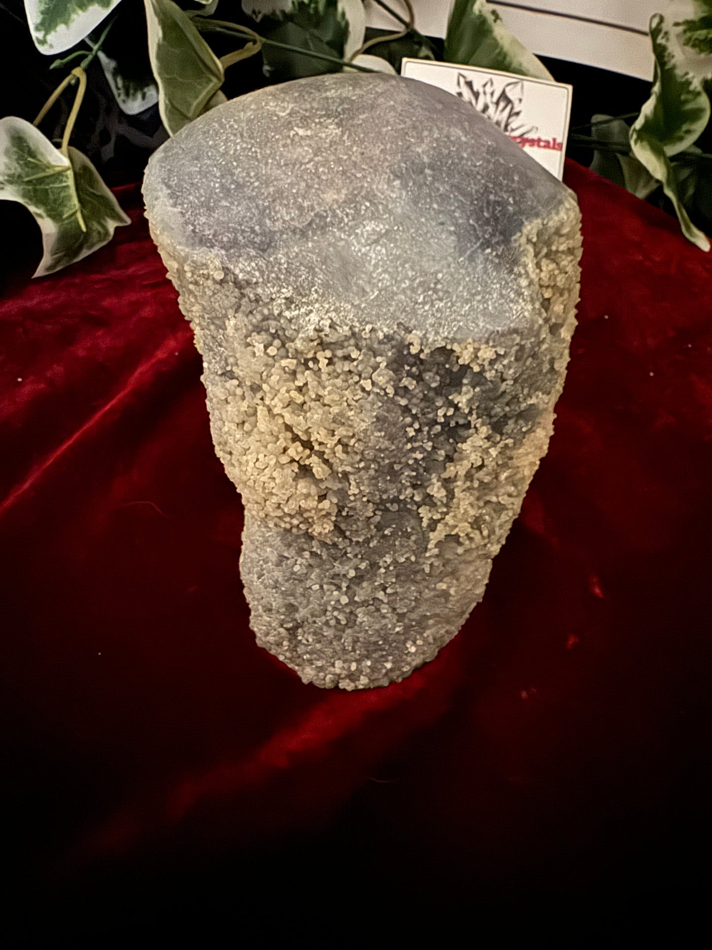 XL Indonesian Grape Agate Skull