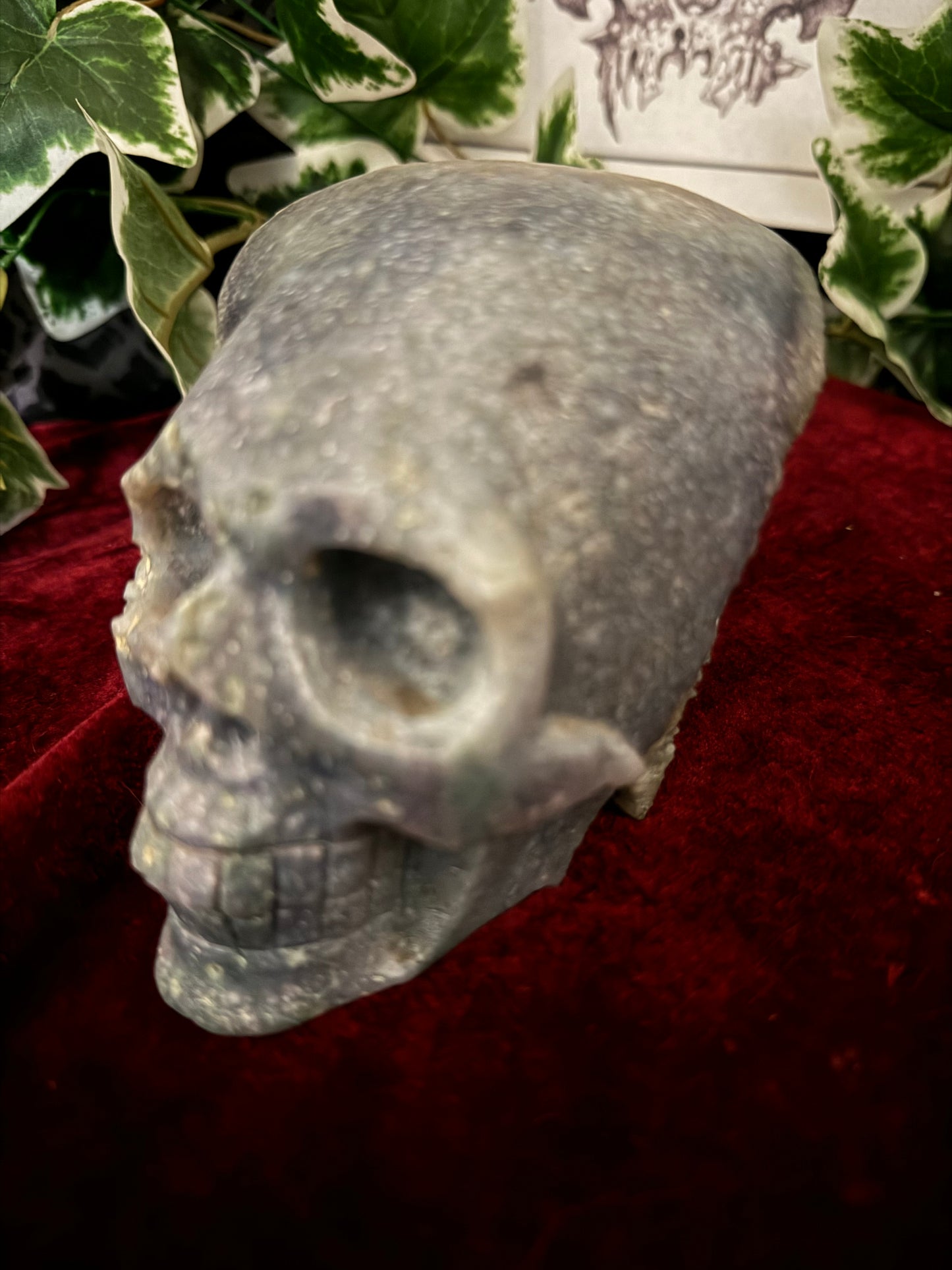 XL Indonesian Grape Agate Skull