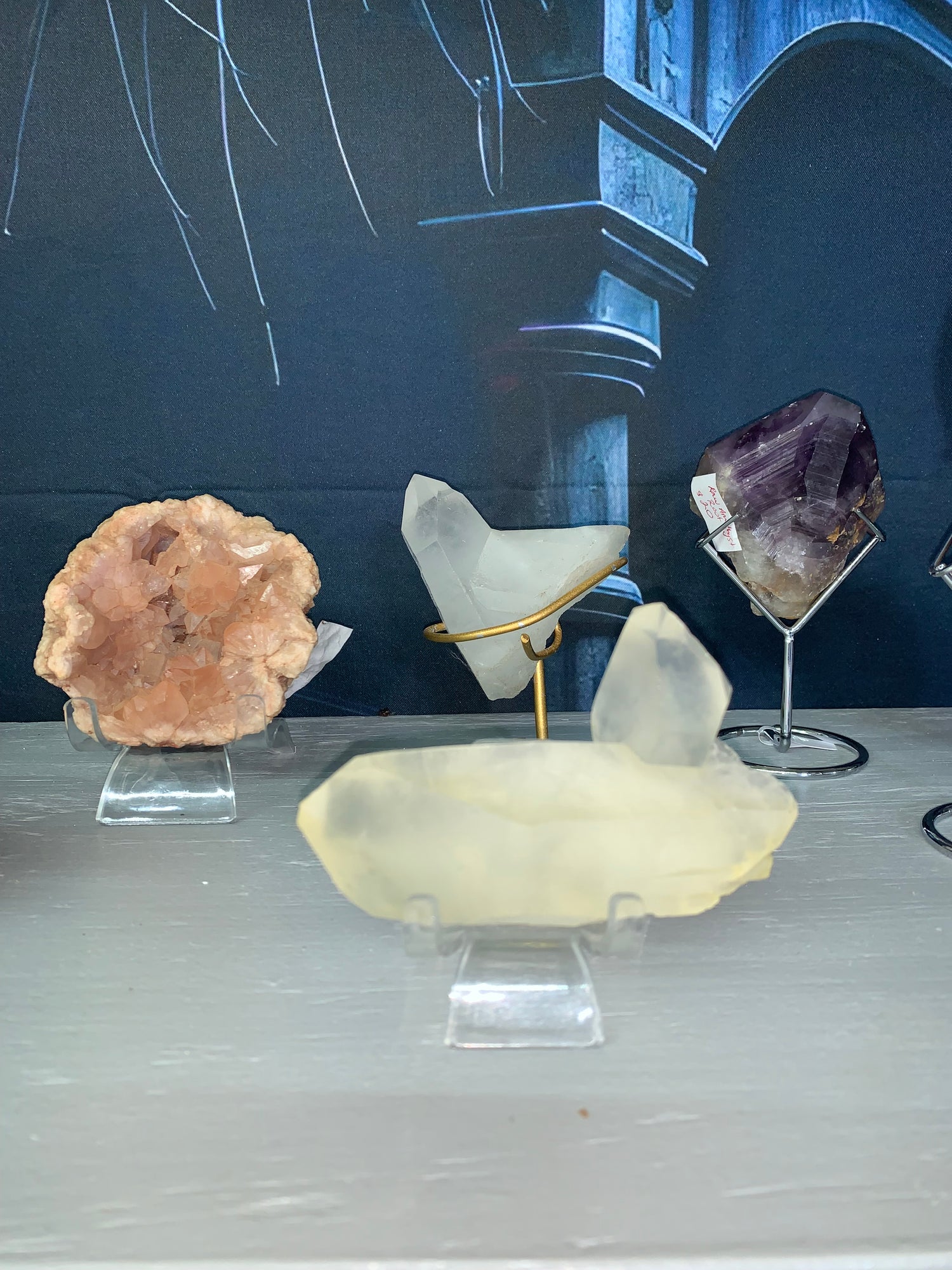 $100 Mystery Specimen Boxes