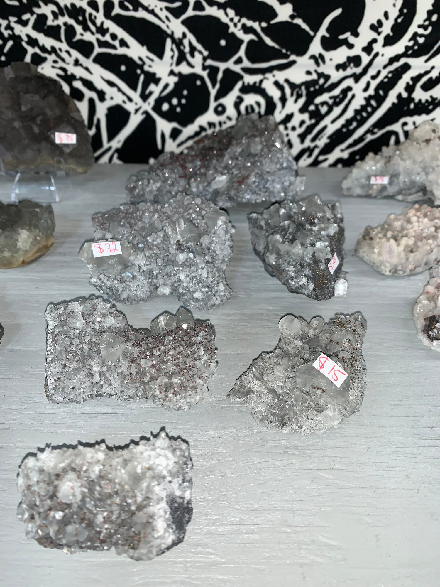 $50 Mystery Specimen Boxes