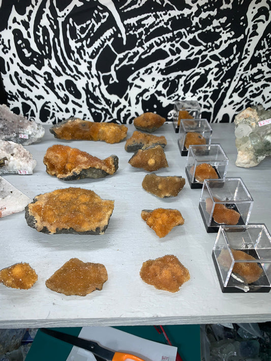 $50 Mystery Specimen Box