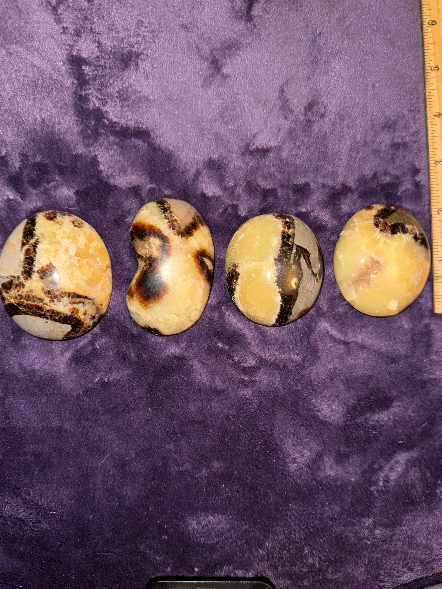 HQ Septarian Palm Stones