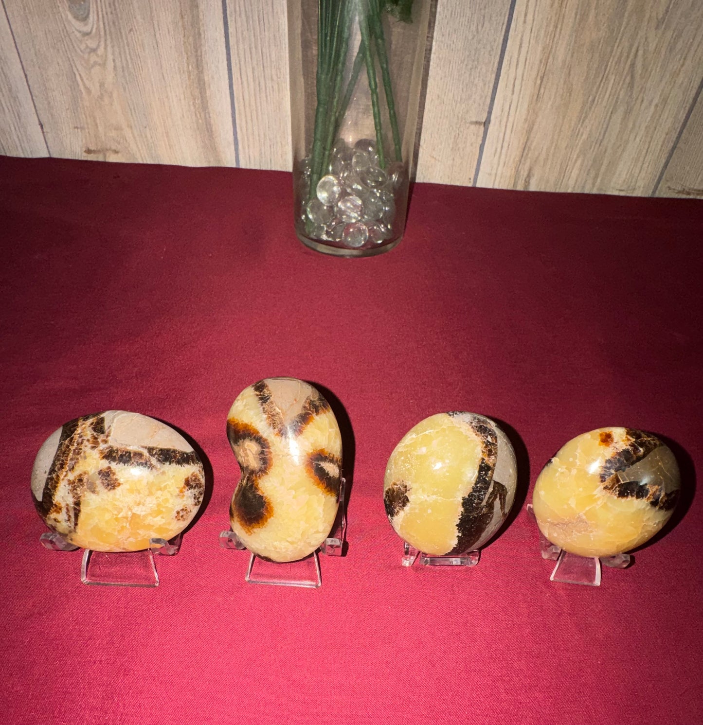 HQ Septarian Palm Stones