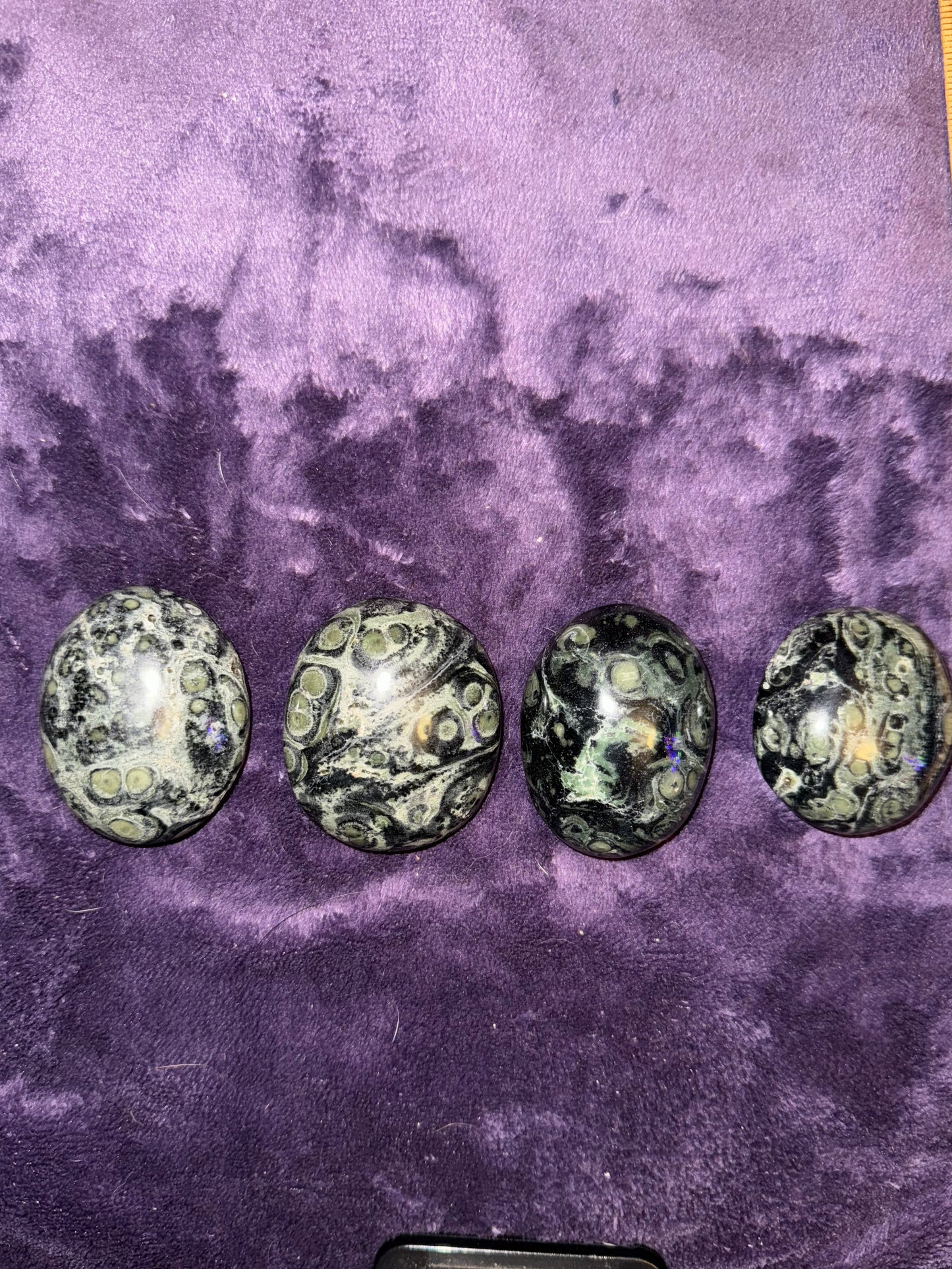 HQ Kambaba Palm Stones