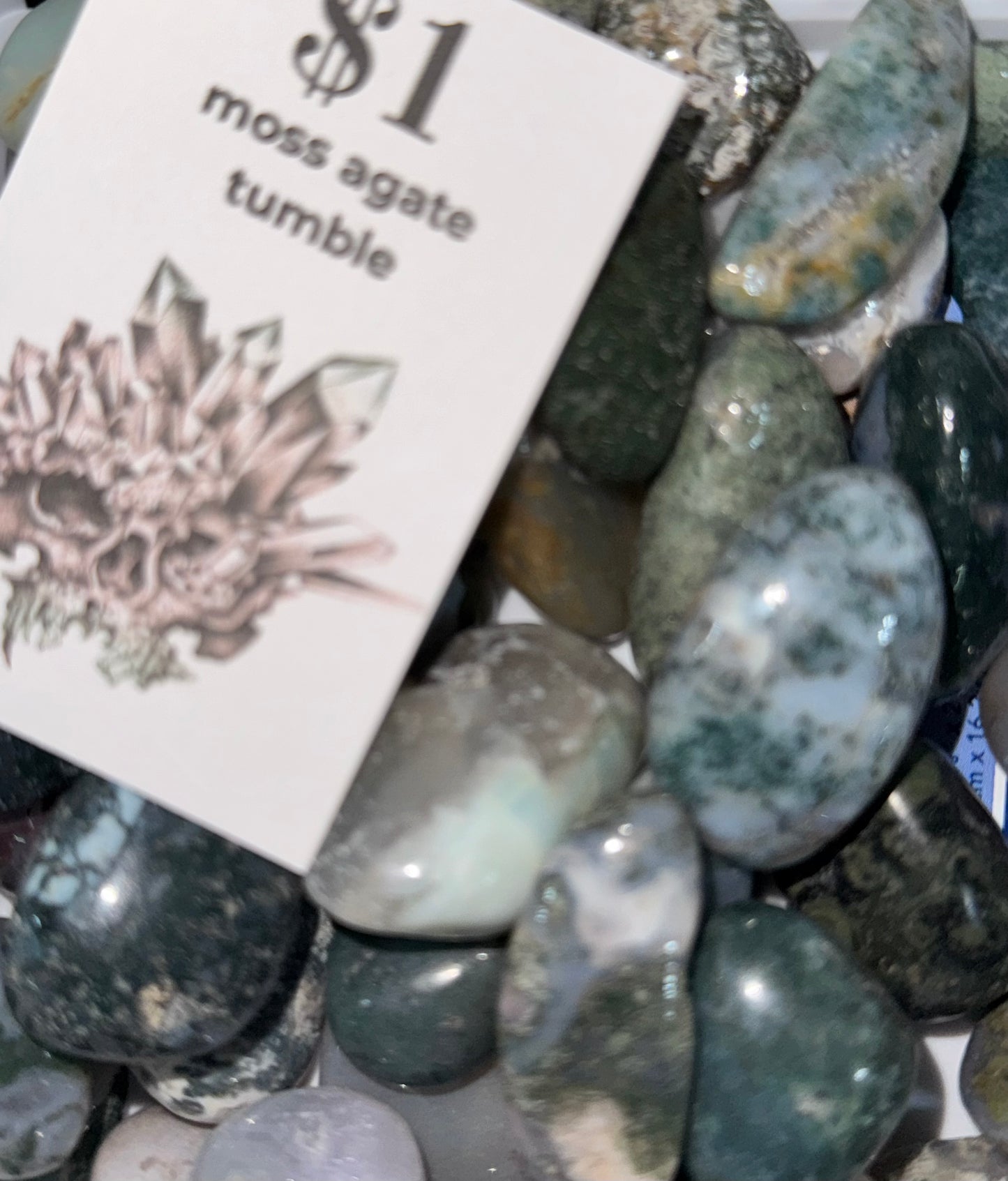 High Quality Moss Agate Tumble $1 pc. Intuitive Pick.
