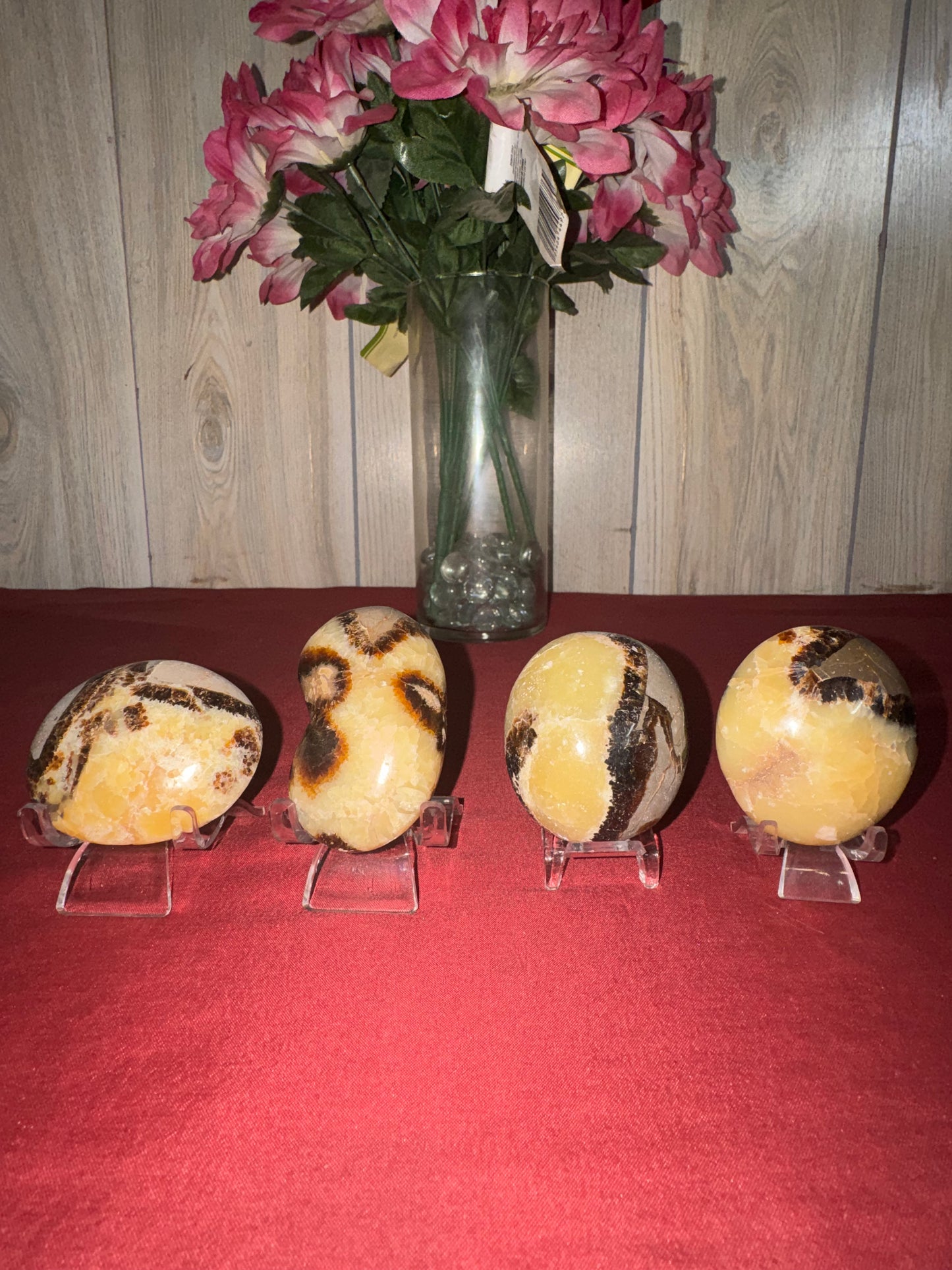 HQ Septarian Palm Stones