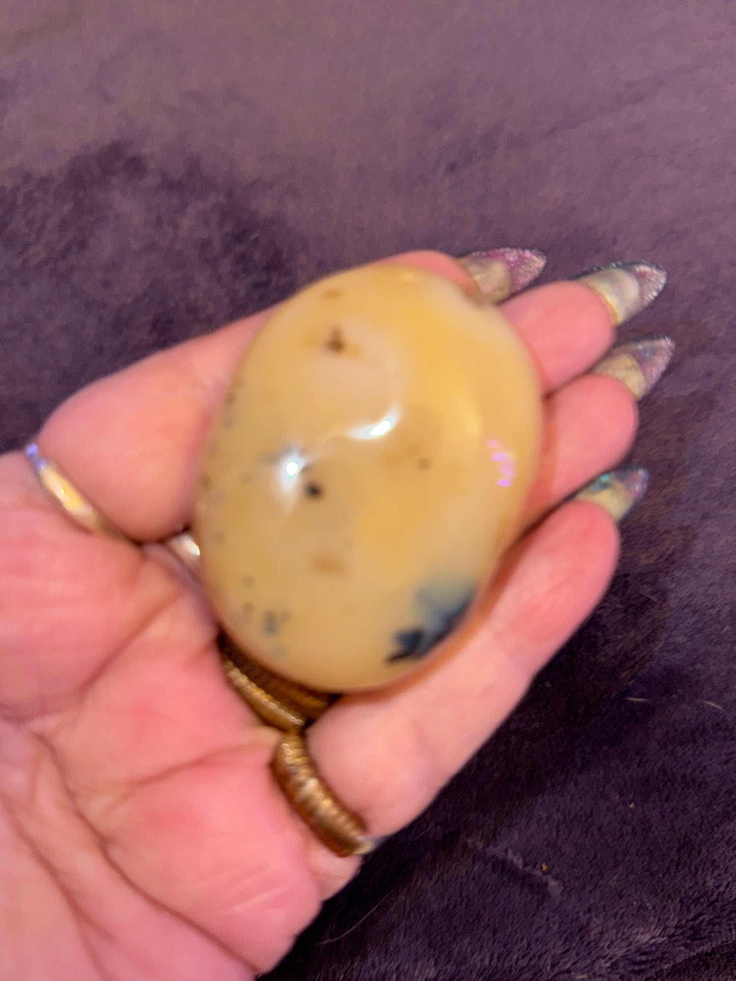 Dendritic Agate Palm Stones