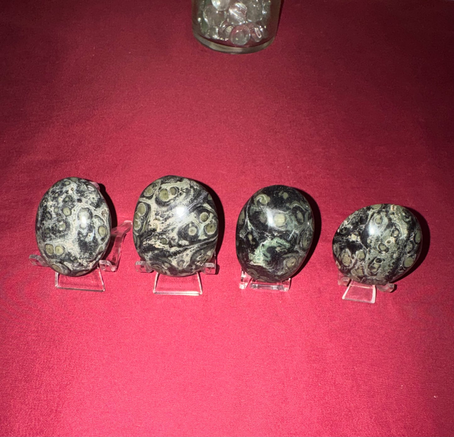 HQ Kambaba Palm Stones