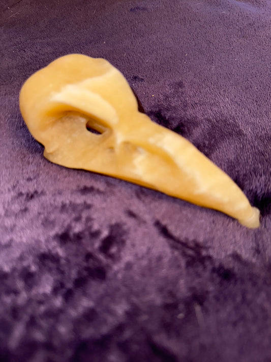 Large Crow Skull Carving