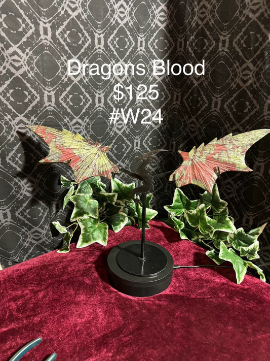 Dragon Blood Dragon Wings