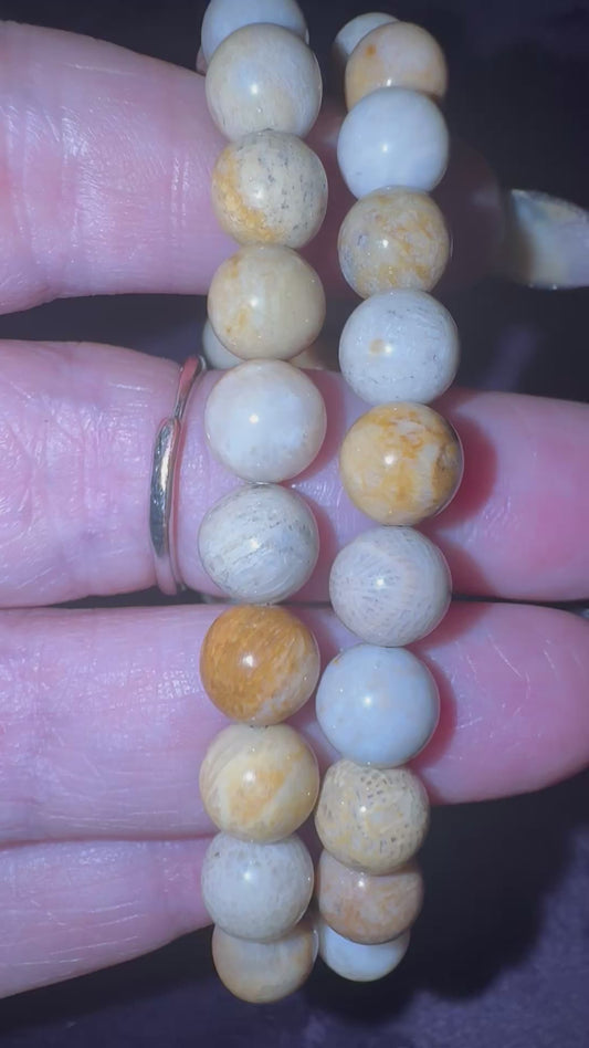 Coral Fossil Jasper 8mm Bead Bracelets